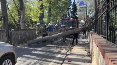 İstanbul’da şiddetli rüzgar alarmı! Ağaçlar devrildi, çatılar uçtu