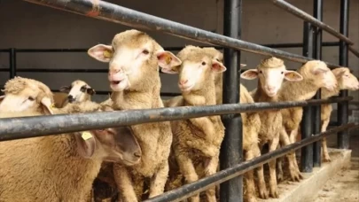 Kurban Bayramı ne zaman? 2025 Kurban Bayramı ne zaman?