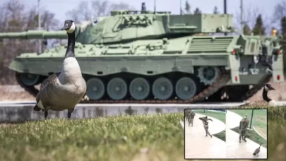 Kanada ordusunda kazlar karargahı istila etti