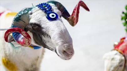 Kurban nasıl kesilir? 2025 yılı için Diyanet’ten islami kurban kesimi rehberi