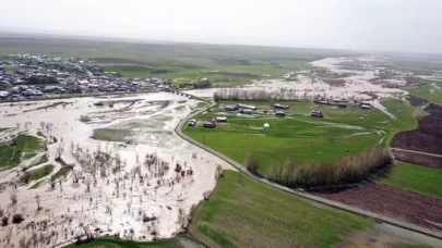 Murat Nehri taştı: Tarım arazileri sular altında kaldı
