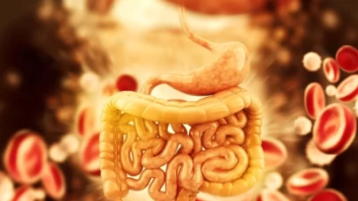 İkinci beynimiz onlar! Duygular bağırsaklarımızı etkiler mi?