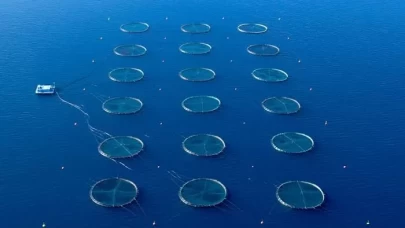 Balıkçılık ve Su Ürünleri Raporu, TBMM Başkanı Kurtulmuş’ta