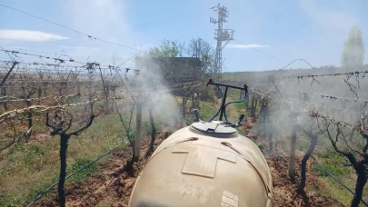 Sarıgöl'de don felaketi: 2.6 milyon çiftçi zarar gördü, üretim umudu sürüyor