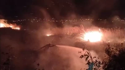Mersin’de sazlık alanda çıkan yangın güçlükle söndürüldü