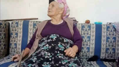 Dut ağacına çarpan patpattaki çifti ölüm ayırdı