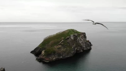 Ordu’nun ‘kuş cenneti’ ziyaretçilerini ağırlıyor