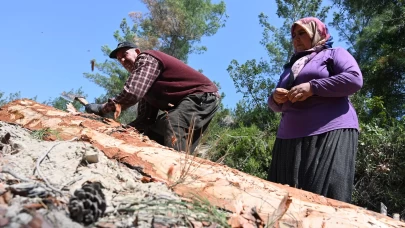Geçimlerini orman işçiliği ile sağlayan çift