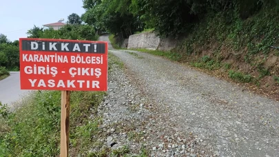 Çanakkale'de bir köyde şap karantinası başladı