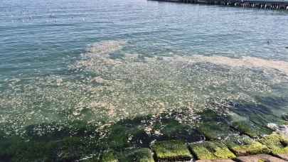 Tekirdağ kıyılarında müsilaj alarmı