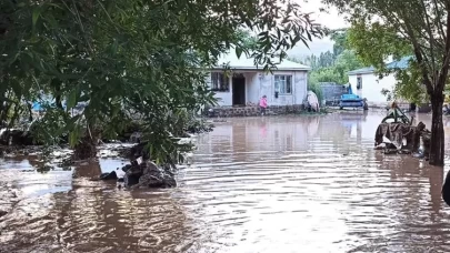 Iğdır ve Ağrı'da sağanak yağış sele neden oldu