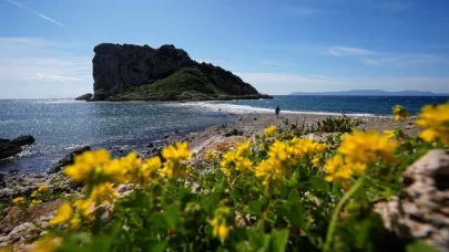 İzmir'in yürüyerek ulaşılabilen doğal güzelliği: Çıfıt Adası