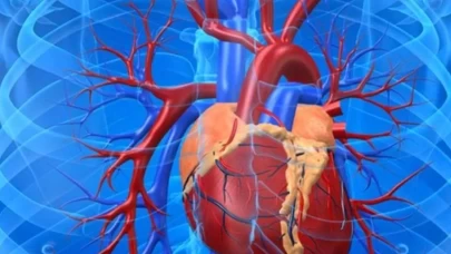 Aort diseksiyonu hayati tehdit taşıyor! Göğüs ve sırt ağrısını hafife almayın