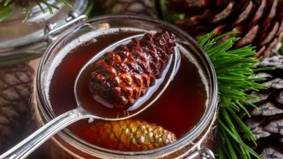 Kozalak şurubunun faydaları: Bağışıklığı güçlendirip solunum yollarını açıyor!