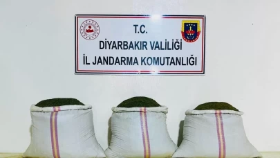 Rekor operasyon! Lice'de 18 bin kök Hint keneviri ve 81 kilo esrar ele geçirildi