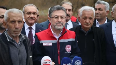 1 milyon samuray arısı doğaya salınacak