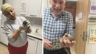 Yaralı kuş, devlet hastanesinde tedavi edildi