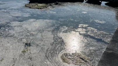 Bursa'nın Mudanya kıyılarında müsilaj alarmı!