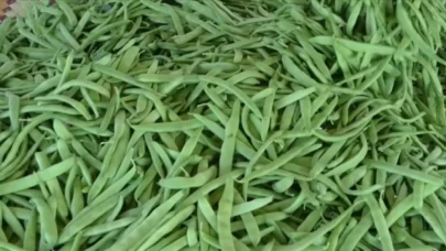 İstanbul’da Mart ayında en çok taze fasulye pahalandı