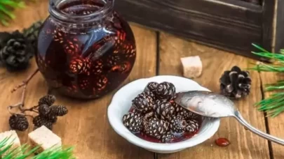 Doğal şifa: Evde kolayca yapılabilen kozalak şurubu tarifi