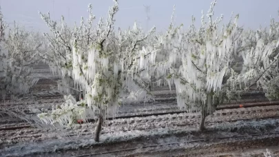 Meclis'te zirai don afetinin araştırılması için komisyon kuruldu