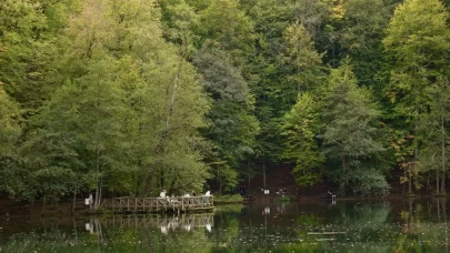 Milli parklar bayram tatilinde yaklaşık 2 milyon kişiyi ağırladı