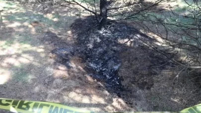 Kayıp olarak aranan 30 yaşındaki kadının yanmış cansız bedeni bulundu