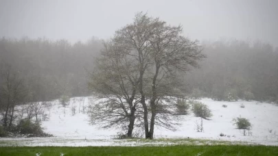 Samsun'un ilçelerinde kar yağışı etkili oluyor