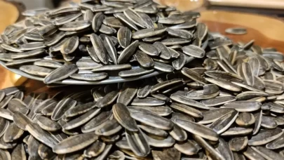 Kavrulmuş Çekirdek Kilo Yapar Mı, Verdirir Mi?