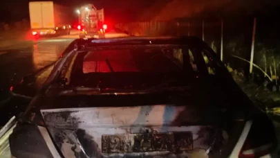 Adana'da seyir halindeki araç alev aldı