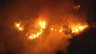 Lübnan'ın güneyinde orman yangını