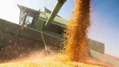 Mısır ithalatı için 1 milyon tonluk tarife kontenjanı açıldı