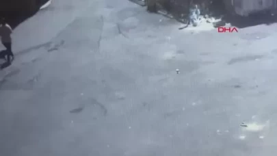 Tekirdağ'da sokak köpeğinin ısırdığı kadın yaralandı; o anlar kamerada