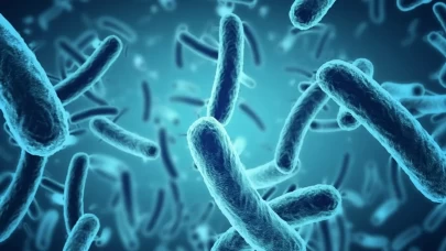 Ölümcül bakteri, tıbbi cihazlardaki plastiği hem yiyor hem güçleniyor