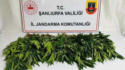 Şanlıurfa'da uyuşturucu operasyonu! 42 gözaltı