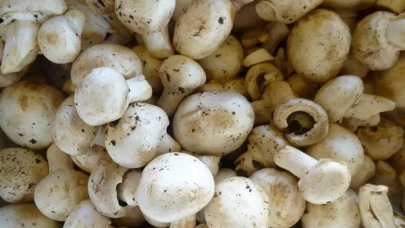 Sağlıklı ve Lezzetli Mantarlar İçin Pratik İpuçları