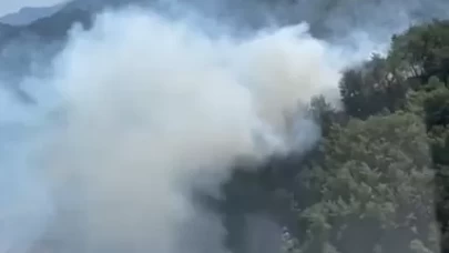 Orman yangınına havadan ve karadan müdahale sürüyor