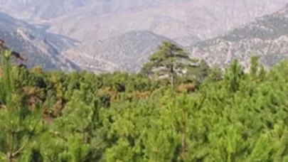 Eskişehir ve Afyonkarahisar'da 15 Haziran'da yasak başlıyor