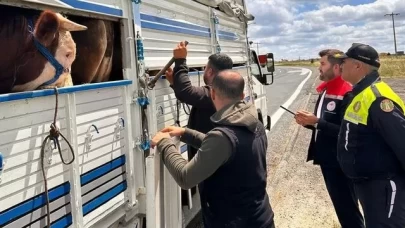 Trakya’da kaçak hayvan taşıyan kişiye ağır para cezası