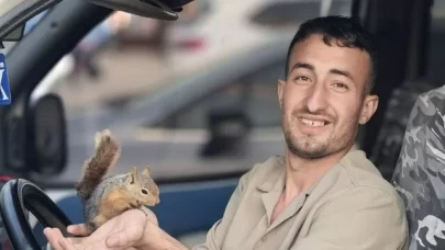 Ormanda bulduğu sincabı besledi, birlikte yaşamaya başladılar