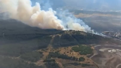 Aliağa’da ormanlık alandaki yangın kontrol altında