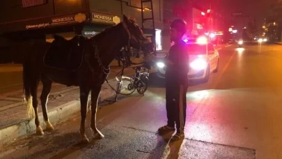 Mersin'de atlı market yolculuğu pahalıya patladı