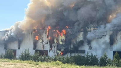 Kauçuk üretimi yapılan fabrikada yangın çıktı