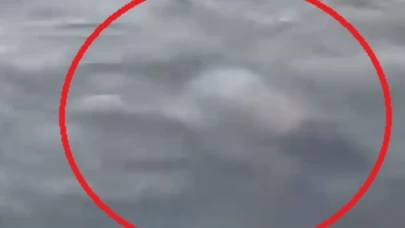 Adana'da sulama kanalında hareketsiz duran kişiyi çevredekiler kurtardı