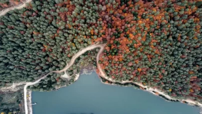 Bilecik'te ormanlık alanlara girişler 5 ay süreyle yasaklandı