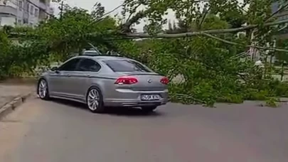 Bartın'da şiddetli rüzgar paniğe neden oldu! Ağaçlar devrildi, yollar kapandı