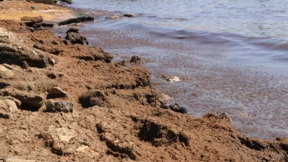 Kuvvetli rüzgar nedeniyle sahile kırmızı yosun birikti