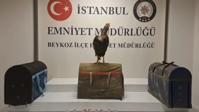 İstanbul'da horoz dövüştüren 21 kişiye 194 bin 187 lira ceza uygulandı