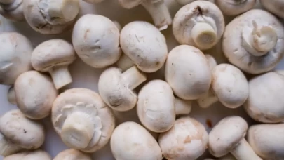 Sağlıklı ve Güvenli Mantar Tüketimi İçin İpuçları