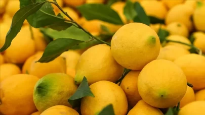 Limon fiyatları arttı, patlıcan düştü!